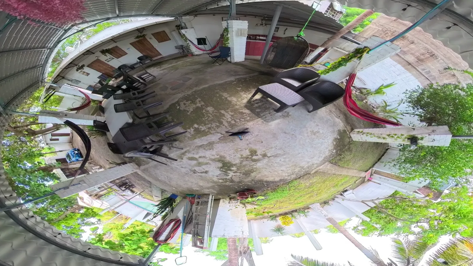 The rancho, shot from the middle of it with a 360 camera and folded into a tiny planet. Hammocks, the big tree, the bar at the back.