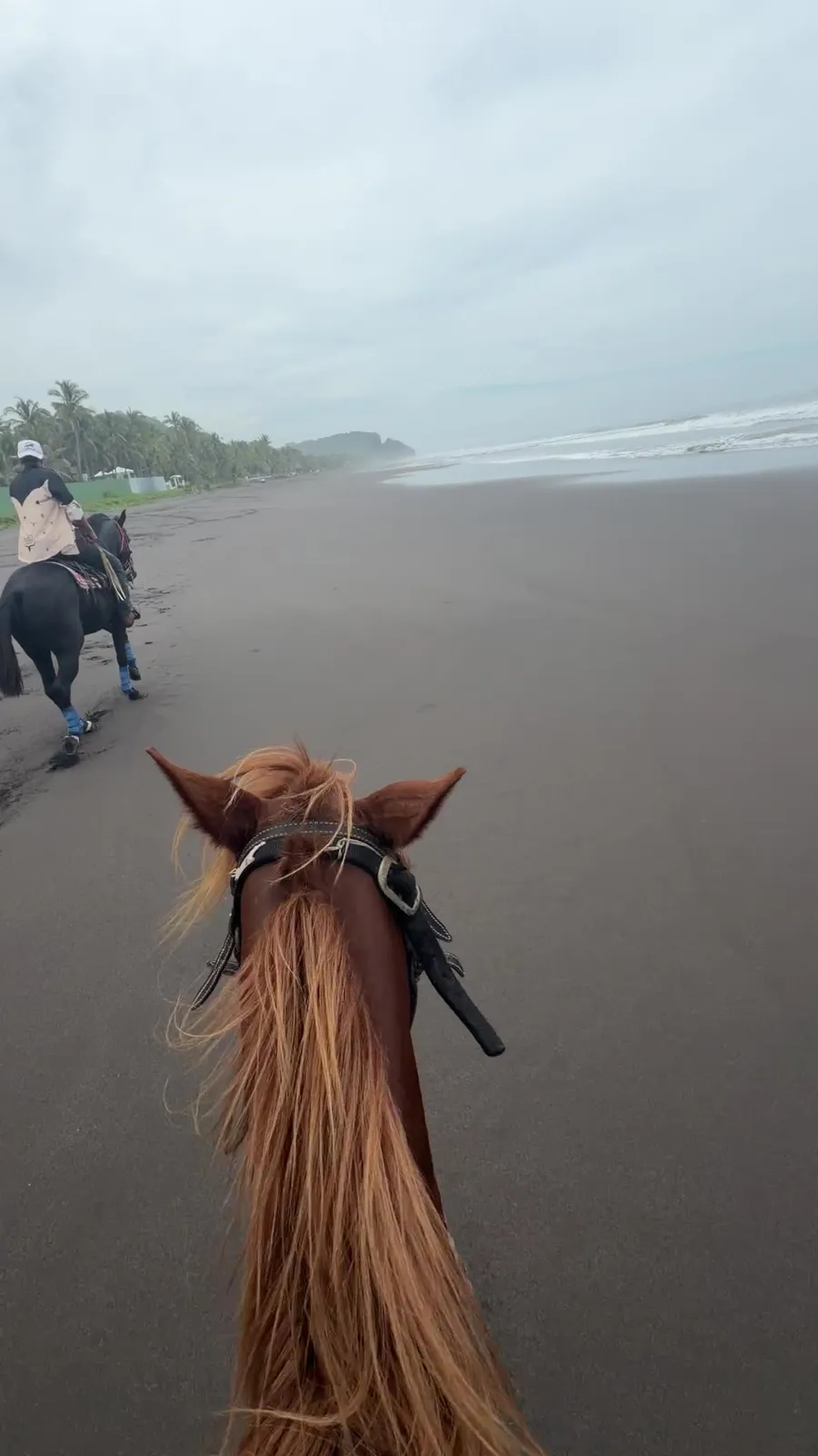 Late afternoon on the black sand.
